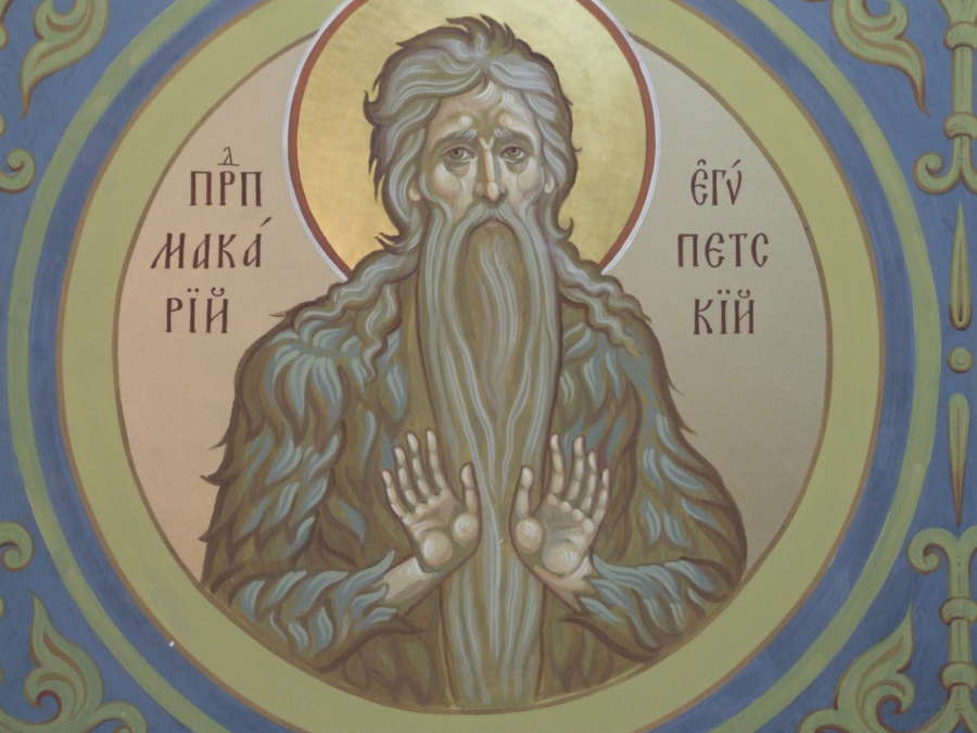 DSCF1000